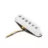 Fender Custom Texas Strat Neck Wandler