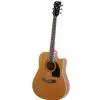 Ibanez PF 17 ECE LG Westerngitarre (mit Tonabnehmer)