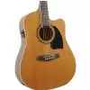 Ibanez PF 17 ECE LG Westerngitarre (mit Tonabnehmer)