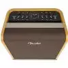 Fender Acoustic SFX 200W Verst�rker f�r Westerngitarre