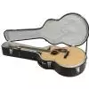 Fender CJ 290 SCE Jumbo