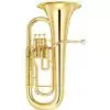 Yamaha YEP 201