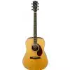 Fender Pm-1 Deluxe Dreadnought Nat