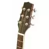 Peavey Briarwood DR-1 Westerngitarre