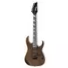 Ibanez GRG 121 DX WNF E-Gitarre