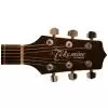 Takamine G320S Westerngitarre