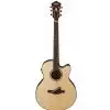 Ibanez AEL FF10 NT Westerngitarre (mit Tonabnehmer)