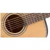 Takamine GD20-NS Westerngitarre