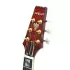Aria Anniversary E-Gitarre