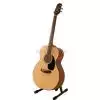 Takamine G220NS Westerngitarre