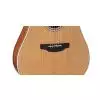 Takamine GD20CE NS Westerngitarre (mit Tonabnehmer)