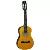 Tanglewood DBT 12