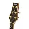 Ibanez ARC500-NT E-Gitarre