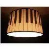 Zebra Music music light with piano theme