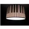 Zebra Music music light with piano theme