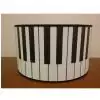 Zebra Music music light with piano theme
