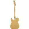 Fender Classic Player Baja Telecaster MN BLD