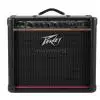 Peavey Envoy 110 Gitarrenverstrker