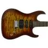 Washburn X10 QVS E-Gitarre