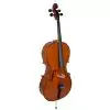 Strunal 4/17F Cello 4/4
