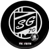 Vic Firth PADGS Steve Gadd bungspad 8  #8243;