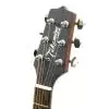 Takamine EG220NS Westerngitarre