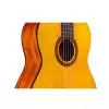 Cordoba Protege C1