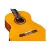 Cordoba Protege C1