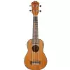 Fzone FZU-06S 21 Inch ukulele