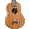 Fzone FZU-06S 21 Inch ukulele