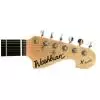 Washburn X10 QVS E-Gitarre