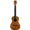 Kala Mahogany Ply Bariton-Ukulele + GigBag