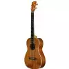 Kala Mahogany Ply Bariton-Ukulele + GigBag