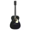 Ibanez PF 14 WK