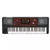 Korg PA 700 Arranger Keyboard 