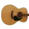 Takamine G220NS Westerngitarre