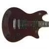Schecter Tempest Extreme E-Gitarre