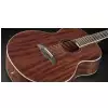 Framus FJ 14M Natural Satin Westerngitarre