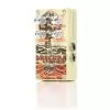 Digitech Obscura delay Gitarreneffekt