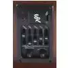 Baton Rouge 24 EQ Westerngitarre (mit Tonabnehmer)