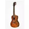 Kala Bocote Butterfly Concert Ukulele Kala Bocote Butterfly Concert Ukulele