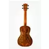 Kala Bocote Butterfly Concert Ukulele Kala Bocote Butterfly Concert Ukulele