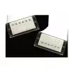 Seymour Duncan Ant Hs Ncov Antiquity