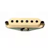 Seymour Duncan Antii Ss Antiquity Ii - Surfer Strat