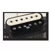 Seymour Duncan Duality B Zeb Rev Duality