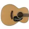 Takamine EG220NS Westerngitarre