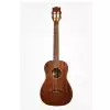 Kala KA SMHB Solid Bariton-Ukulele + GigBag