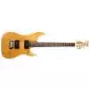 Washburn N1 NM E-Gitarre