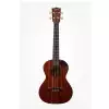 Kala KALA-KA-SMHT-SC Scallop Cutaway Tenor-Ukulele + Bag