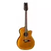 Dean Exotica FM TGE/12STR - gitara elektroakustyczna